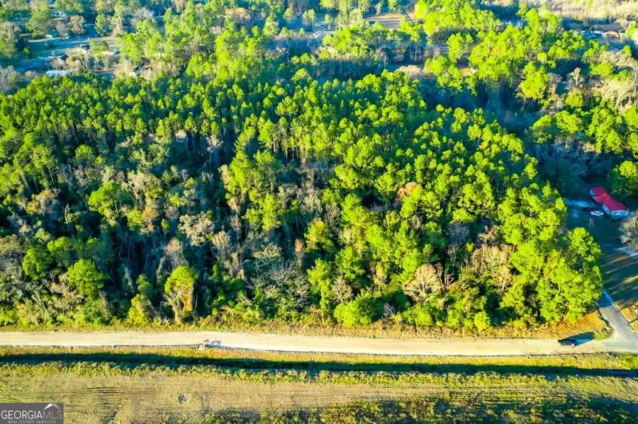 0 Cabinet Street, Waycross, GA 31501 - Image #2