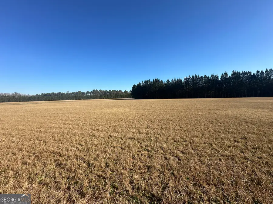 3276 Mud Road, Brooklet, GA 30415 - Image #2