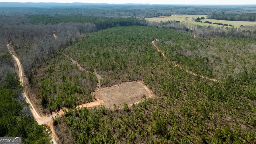 0 Ga Highway 18, Pine Mountain, GA 31822 - Image #3