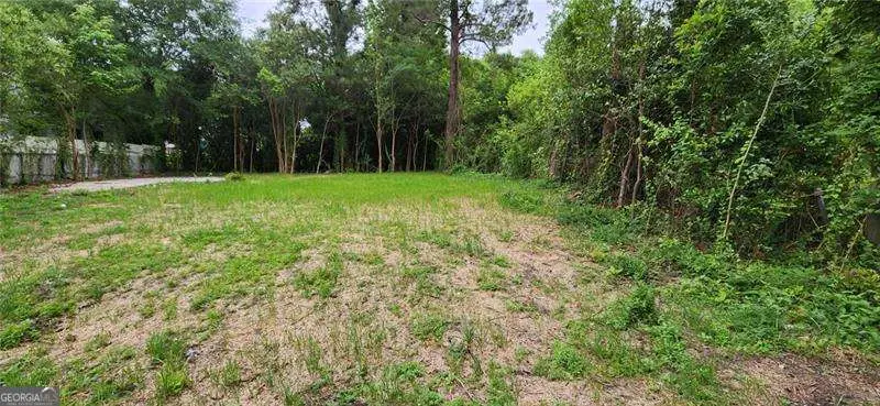 981 Perdue Street, Macon, GA 31206 - Image #2