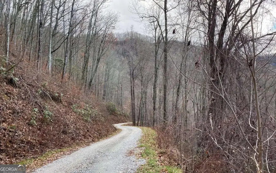 J-3 Georgianna Lane, Bryson City, NC 28713 - Image #3
