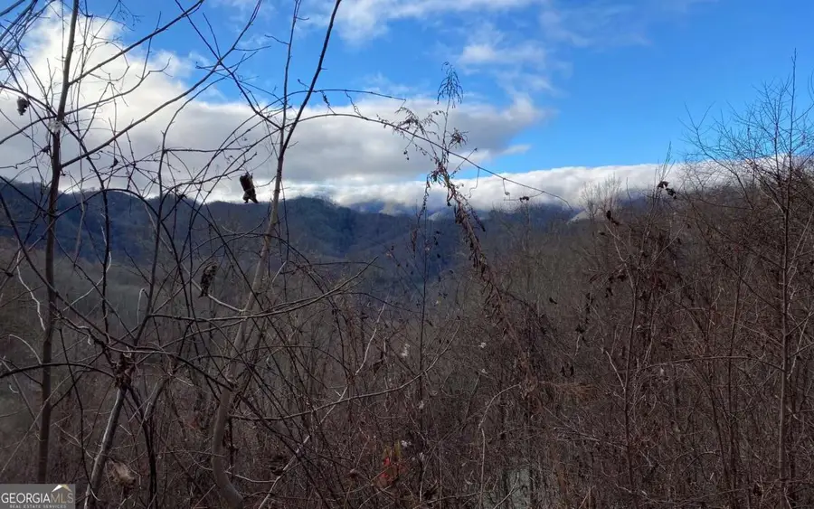 0 Buck Naked, Bryson City, NC 28713 - Image #3