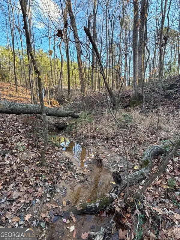 0 Lower River Road, Covington, GA 30016