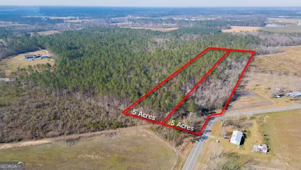 0 Piney Bluff Road, Baxley, GA 31513