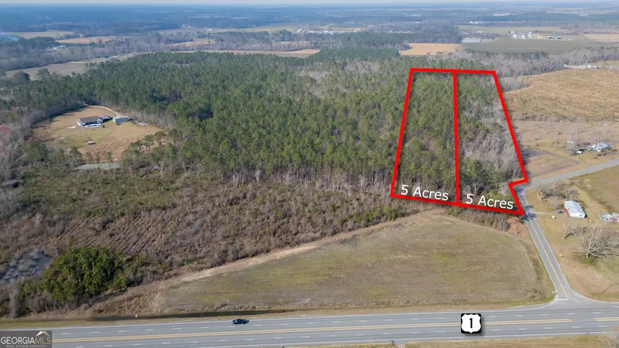 0 Piney Bluff Road, Baxley, GA 31513 - Image #2