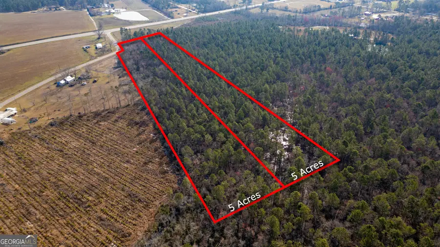 0 Piney Bluff Road, Baxley, GA 31513 - Image #3