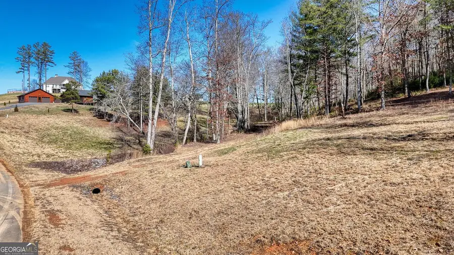 LOT 38 Hidden Harbor #38, Blairsville, GA 30512 - Image #2