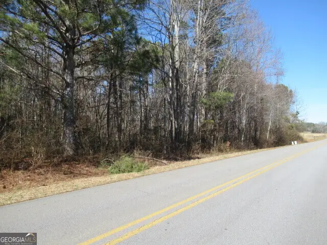 5050 Stateline Road, Bowdon, GA 30108 - #2