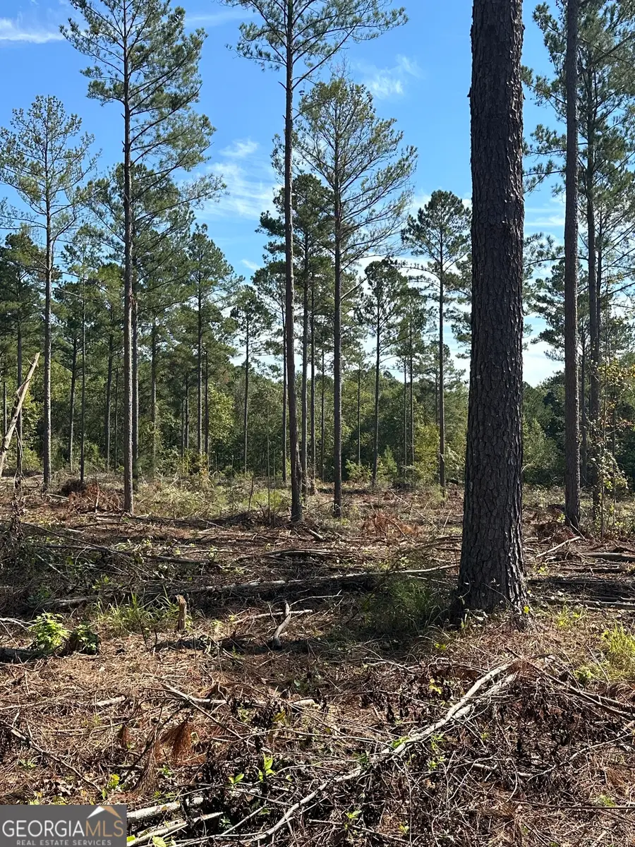 0 Seven Islands Road, Madison, GA 30650 - Image #3