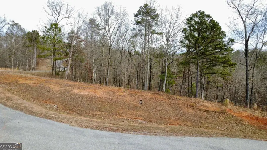 LOT 43 Bucktail Way, Talking Rock, GA 30175 - Image #3