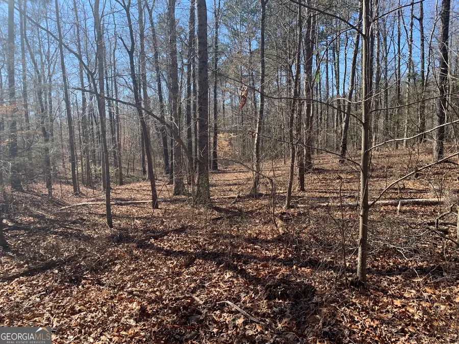 0 Veterans Drive, Danielsville, GA 30633 - Image #2