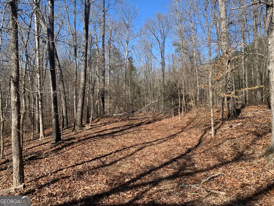 0 Veterans Drive, Danielsville, GA 30633 - Image #3