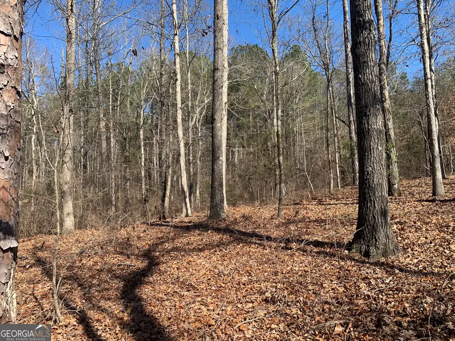 0 Veterans Drive, Danielsville, GA 30633 - Image #3