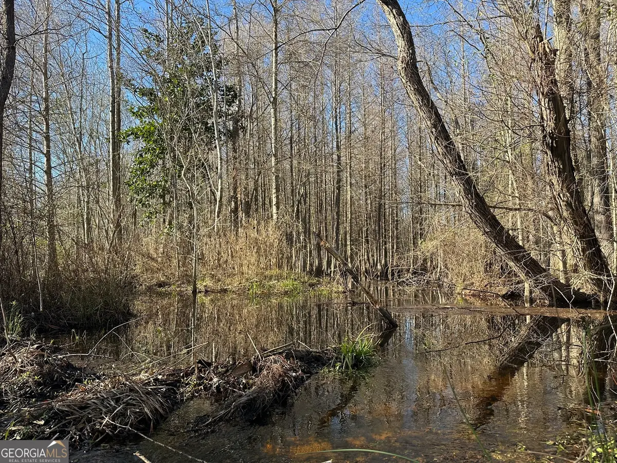 011 Mt Zion Road, Gordon, AL 36343 - Image #1