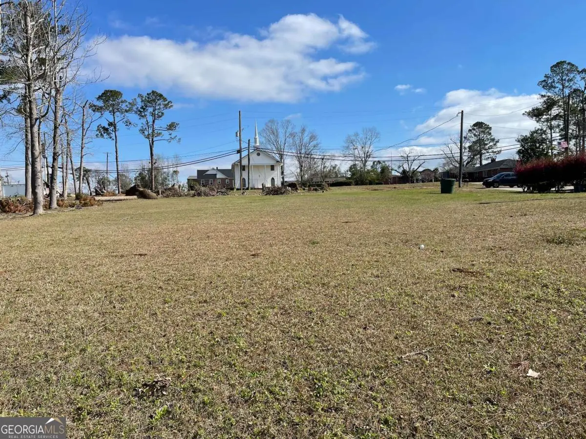 0 E Spring Street, Mount Vernon, GA 30445 - Image #1