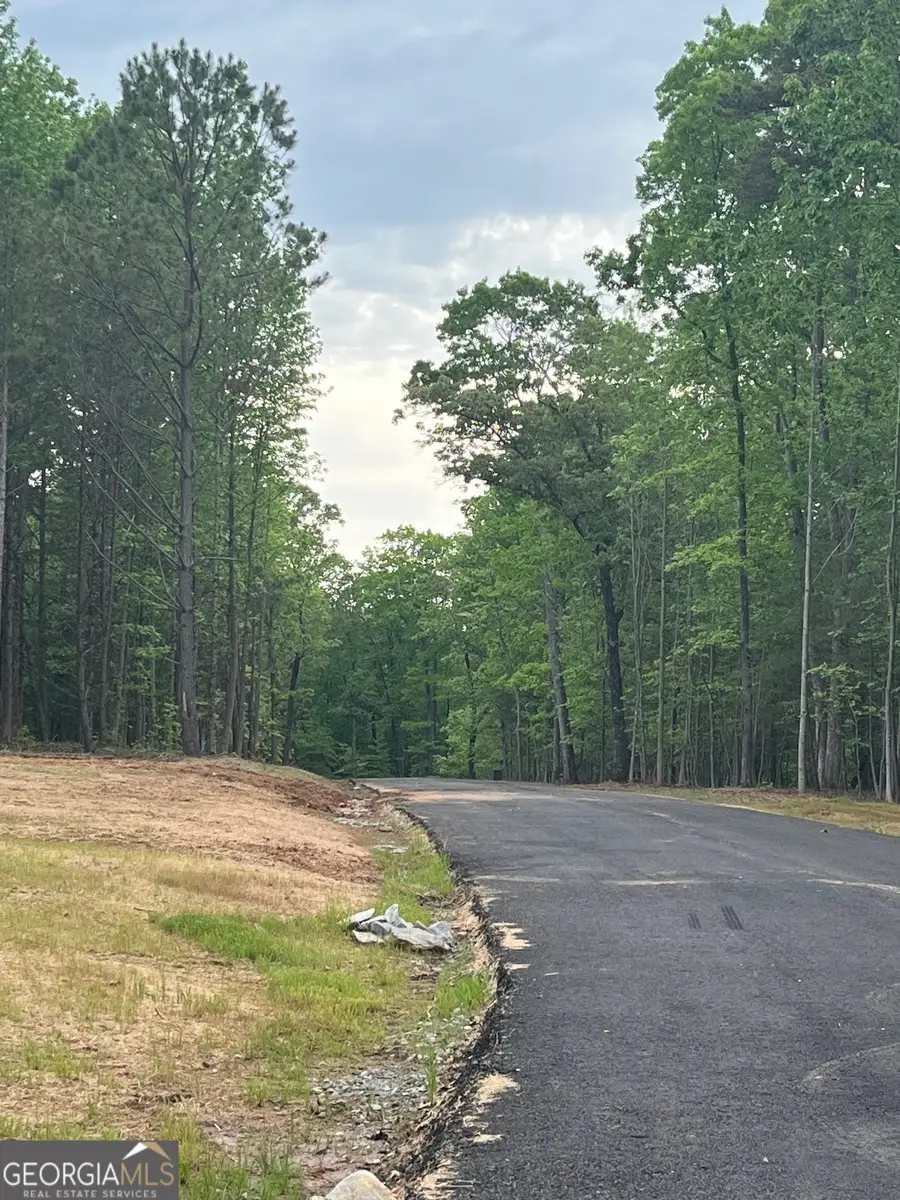 6 Crawford Place, Dawsonville, GA 30534 - #3