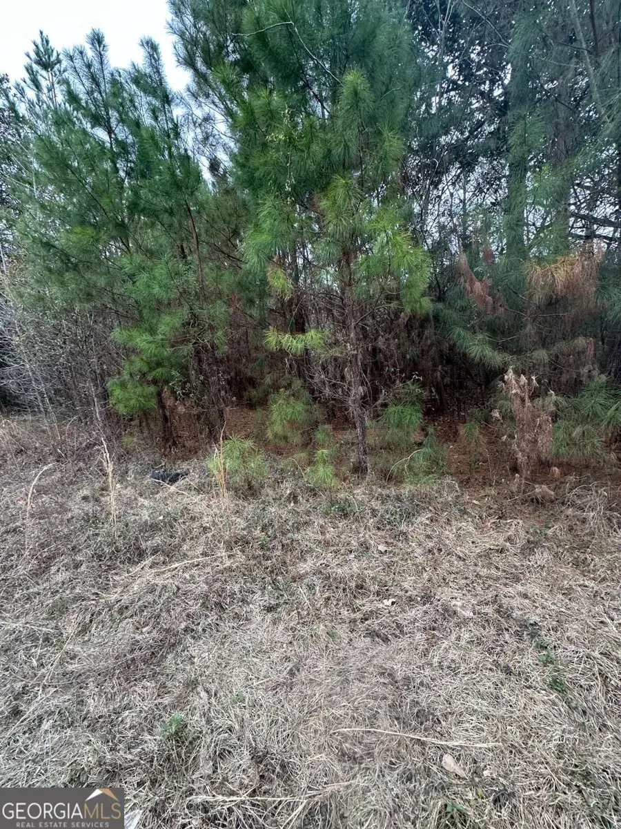 385 Shearwood Road, Guyton, GA 31312 - Image #2