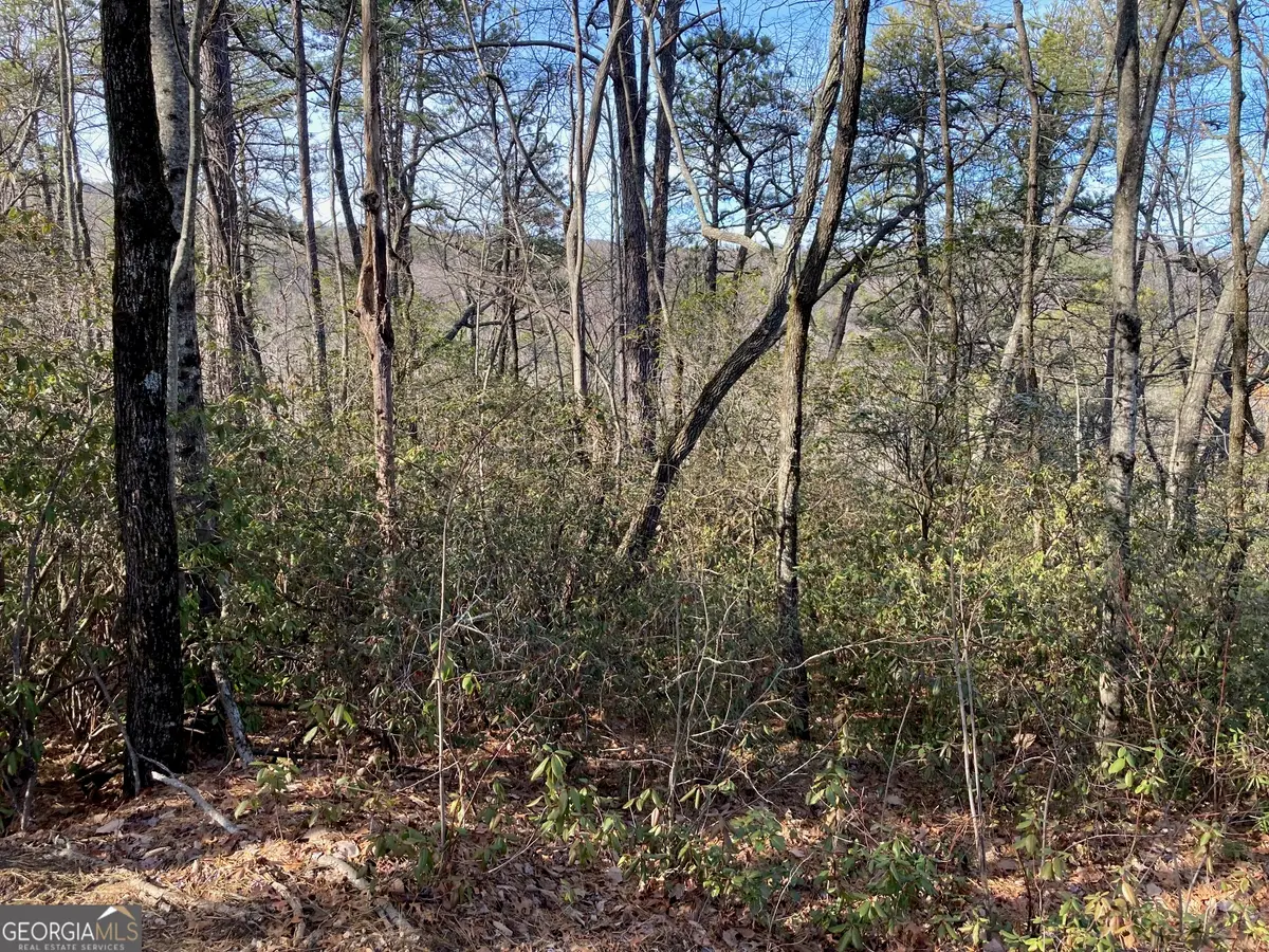 LOT 37 Whispering Dale, Clarkesville, GA 30523 - #1