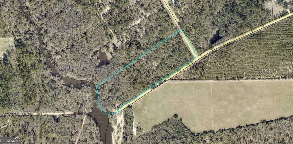 9.59 AC Jarriel's Bridge Spur Road, Collins, GA 30421 - Image #1