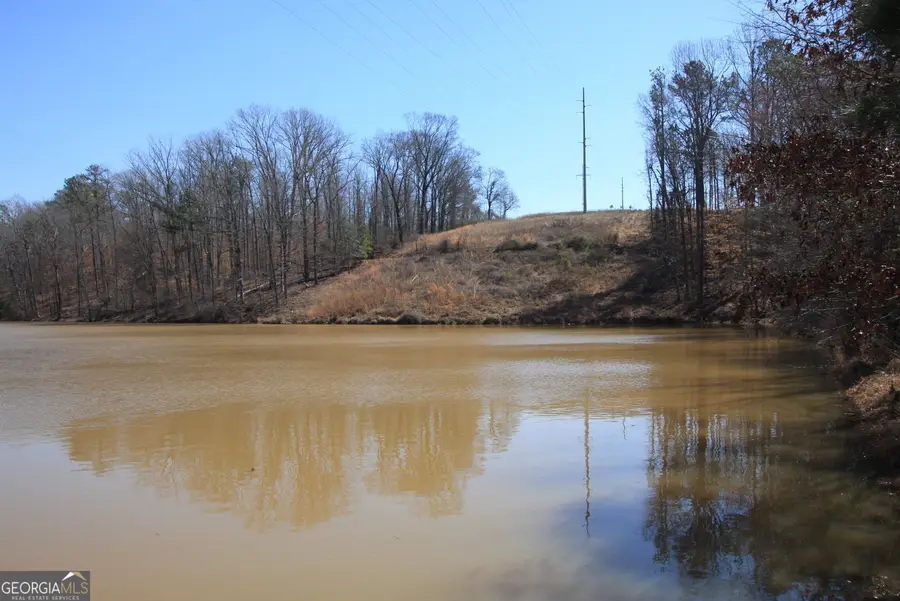 0 Stone Mtn Street, Tallapoosa, GA 30176 - Image #3