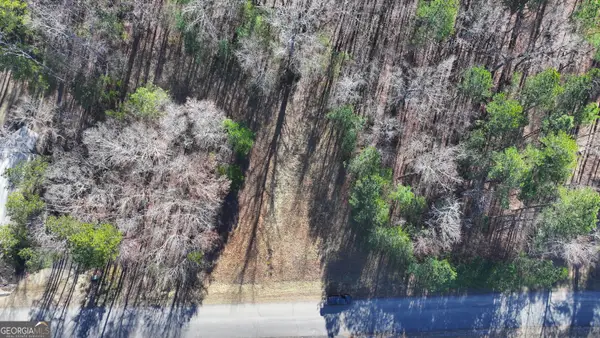 29 Saratoga Drive, Rydal, GA 30171