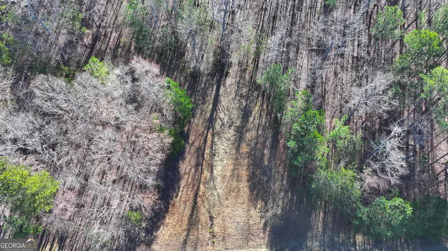 29 Saratoga Drive, Rydal, GA 30171 - Image #2