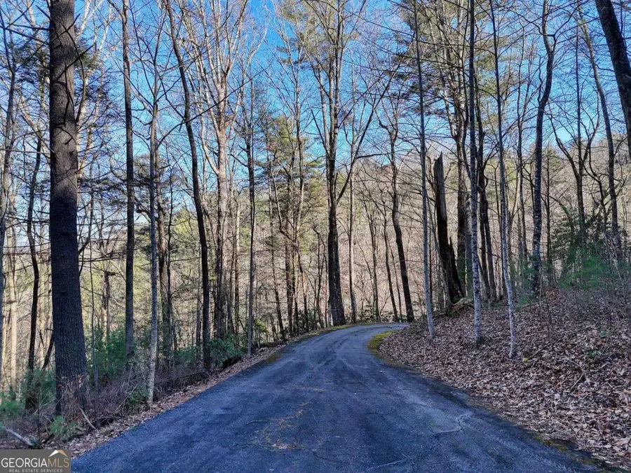LOT 25 Highland Falls, Blairsville, GA 30512 - #3