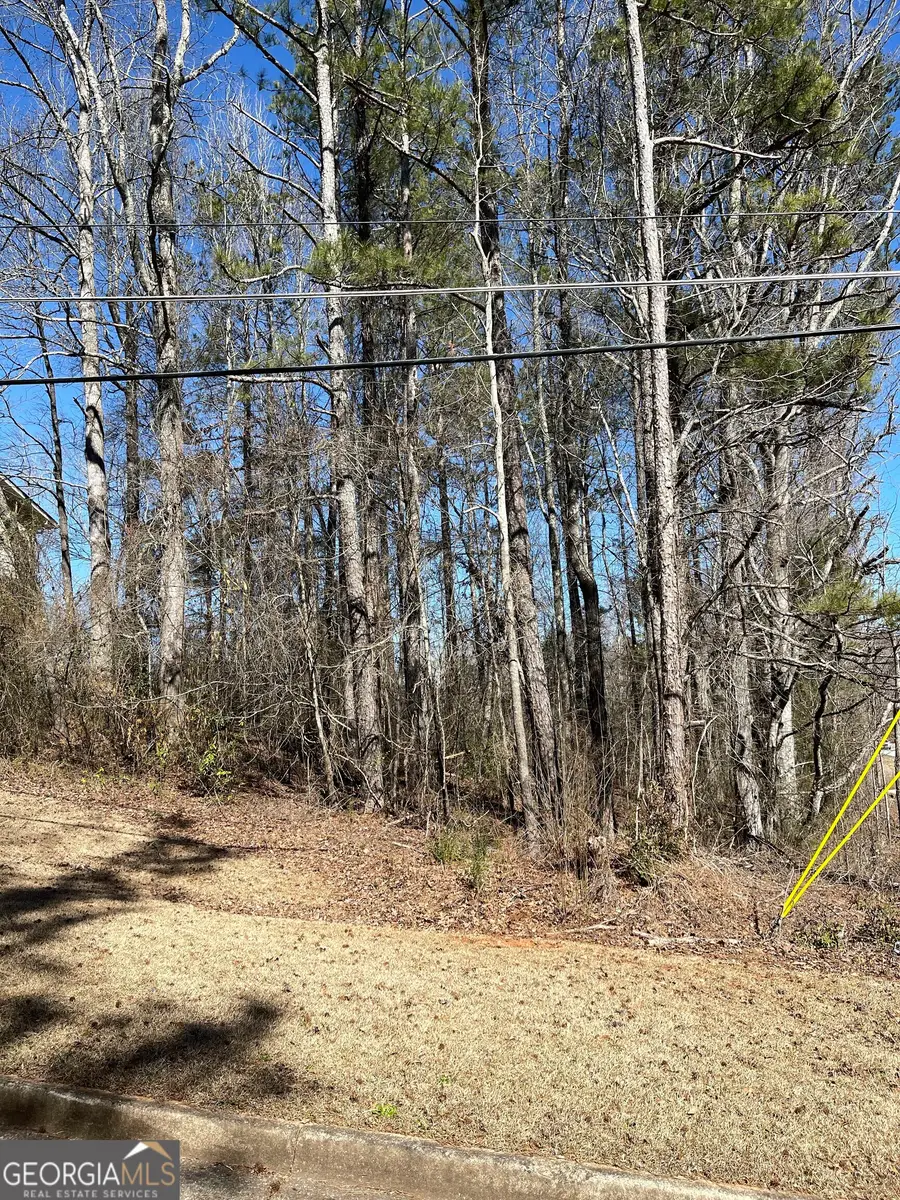 8758 Daerwater Drive, Winston, GA 30187 - #3