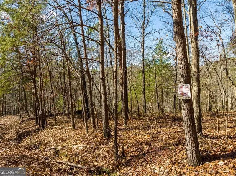 25 Adair Drive Ne, Ranger, GA 30734 - Image #3