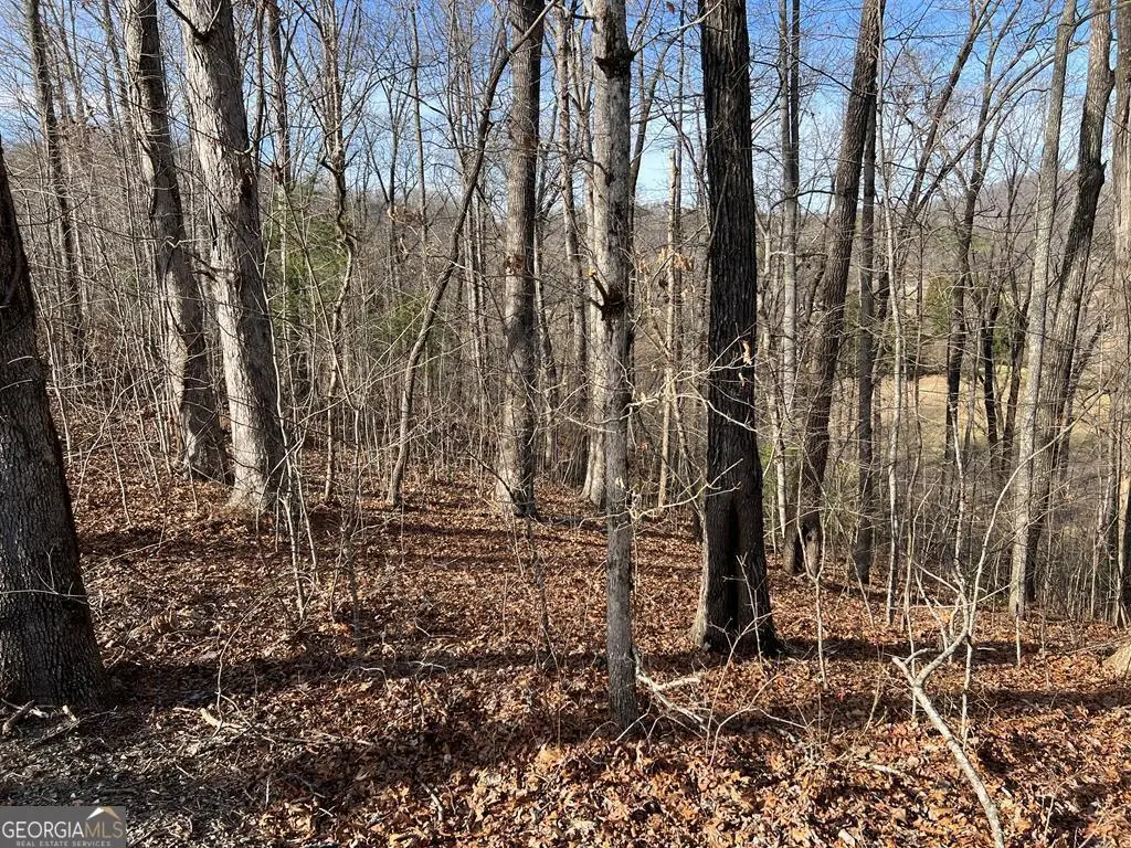 LOT 77A Licklog Ridge, Hayesville, NC 28904 - Image #1