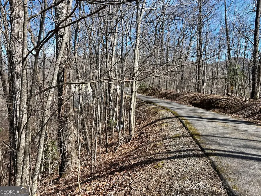LOT 15 Bear Trail, Roaring Ridge Trail, Hiawassee, GA 30546 - #2