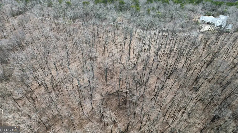 0 Clearview Drive, Talking Rock, GA 30175 - Image #3