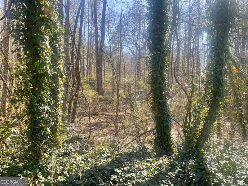 2115 Logan Drive, Jonesboro, GA 30236 - Image #2