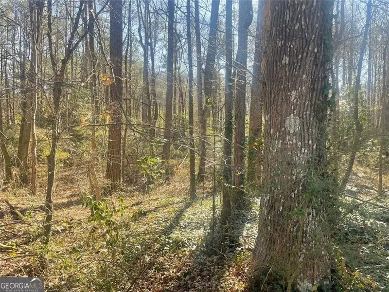 2115 Logan Drive, Jonesboro, GA 30236 - Image #3