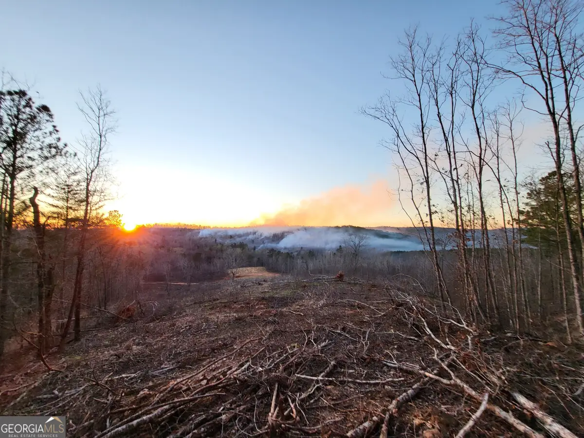 800 Smoke Rise Drive, Woodland, GA 31836 - Image #1