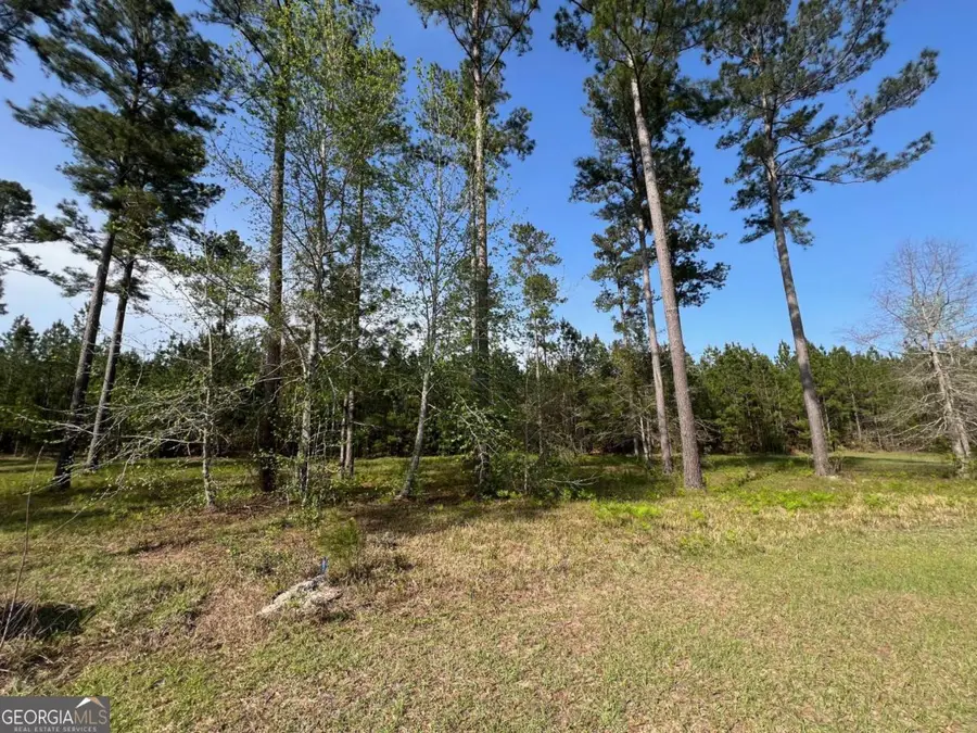 17 Shorebird Way, Brunswick, GA 31523 - Image #2