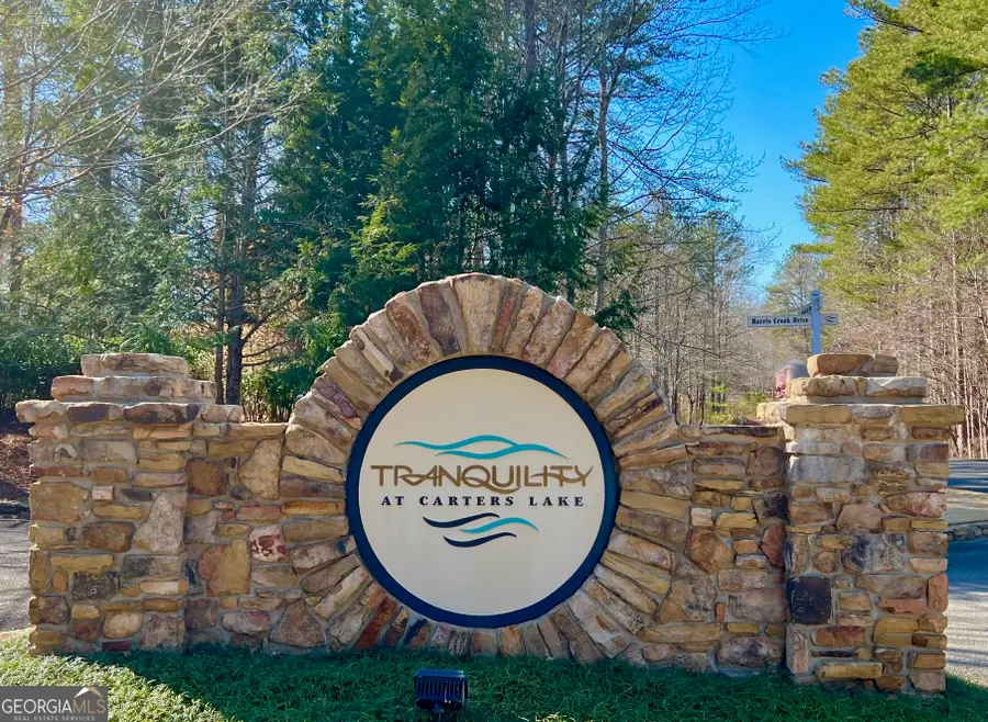 113 Beech Tree Drive, Ellijay, GA 30540 - #2