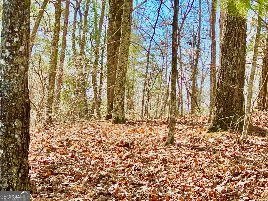 113 Beech Tree Drive, Ellijay, GA 30540 - #3