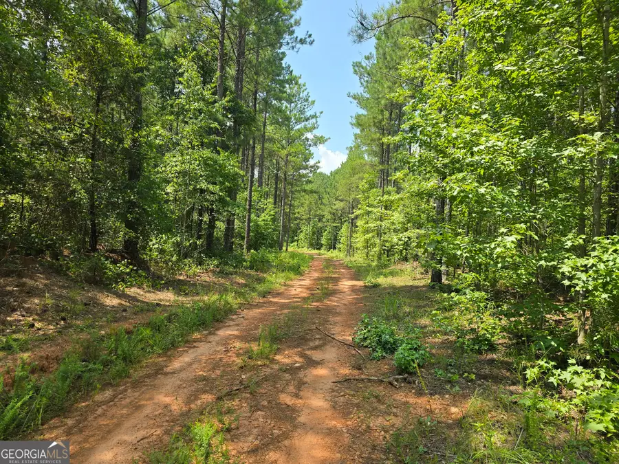 0 Faulkner Road #LOT 4, Monticello, GA 31064 - Image #2