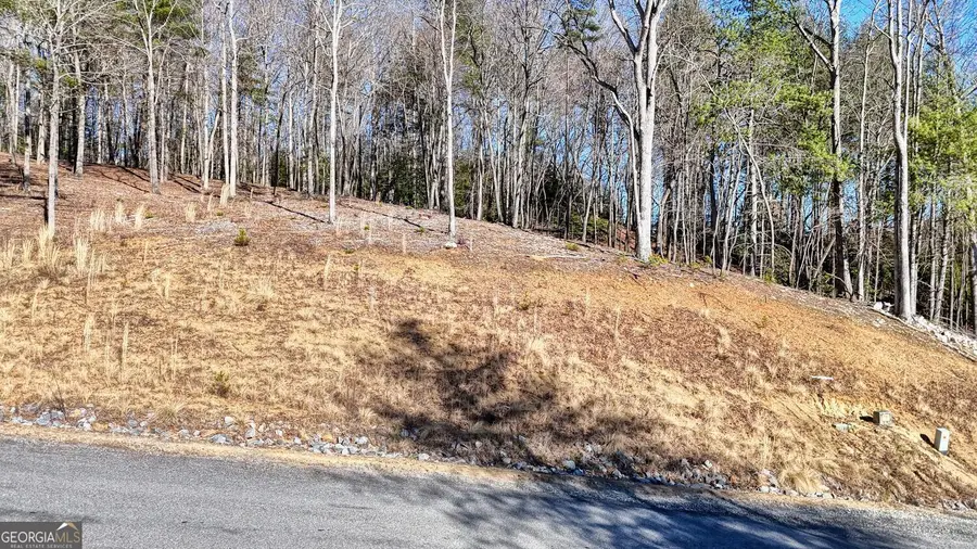 LOT 2 Ridges Drive, Morganton, GA 30560 - Image #2