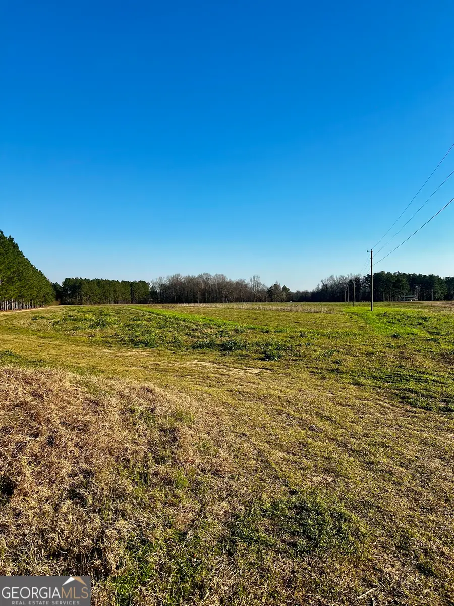 0 Mt. Olive Road, Dublin, GA 31021 - Image #2