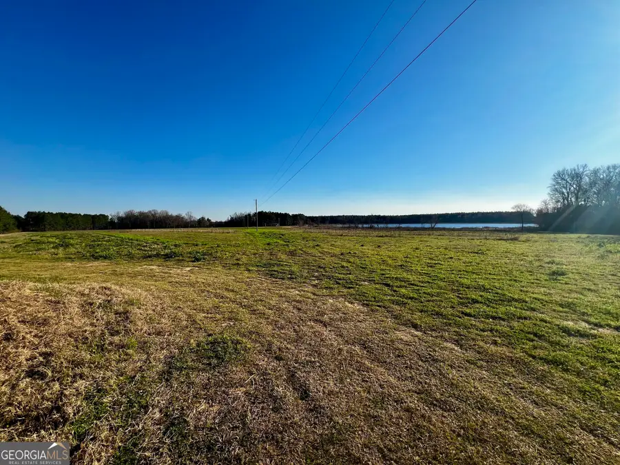 0 Mt. Olive Road, Dublin, GA 31021 - Image #3