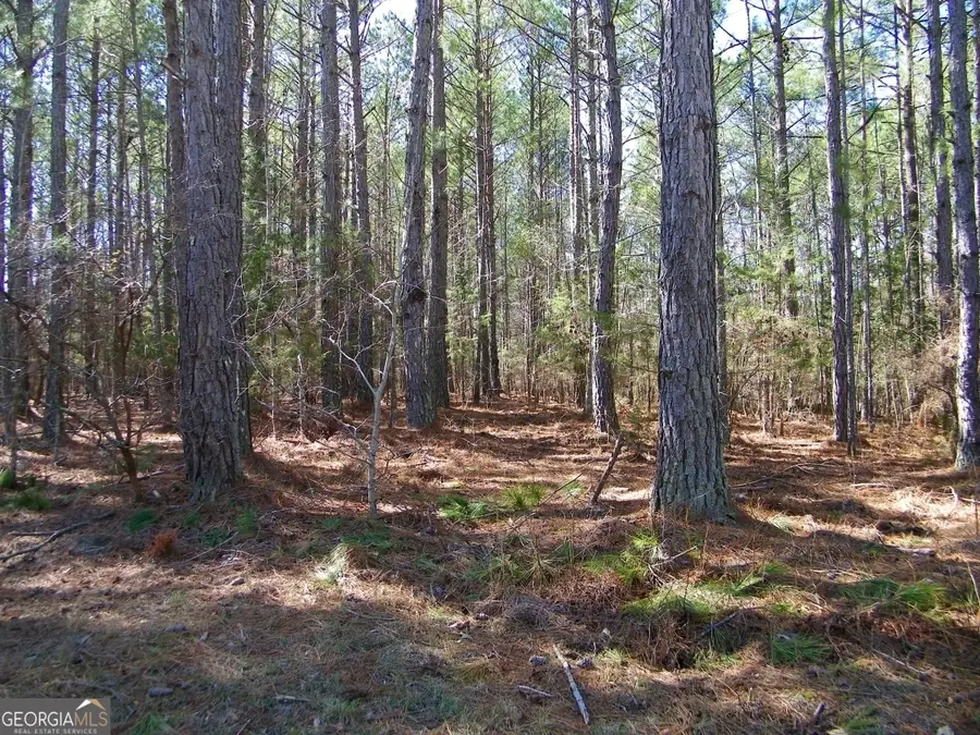 LOT 7 Blackberry Bend, Elberton, GA 30635 - Image #3