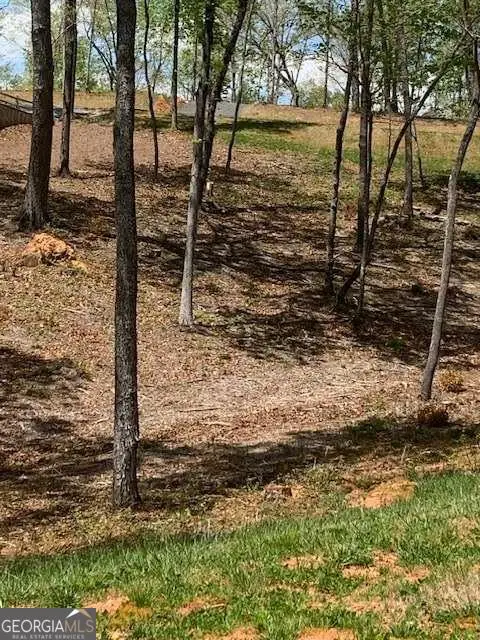 LOT #6 S Jakes Landing Way, Ellijay, GA 30540 - #2