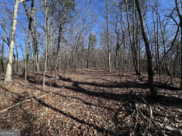 57 St Andrews Way, Ellijay, GA 30536