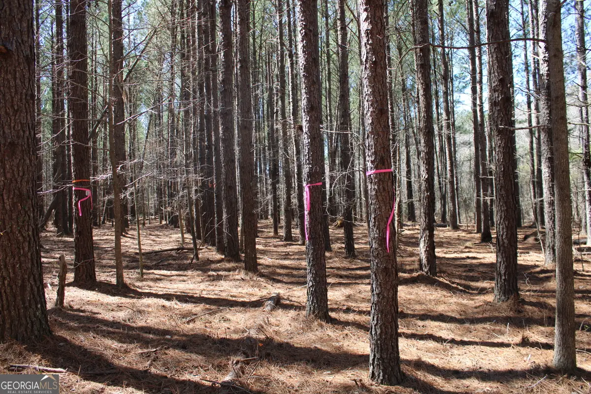 0 Jackson Gin Road, Harrison, GA 31035 - Image #1