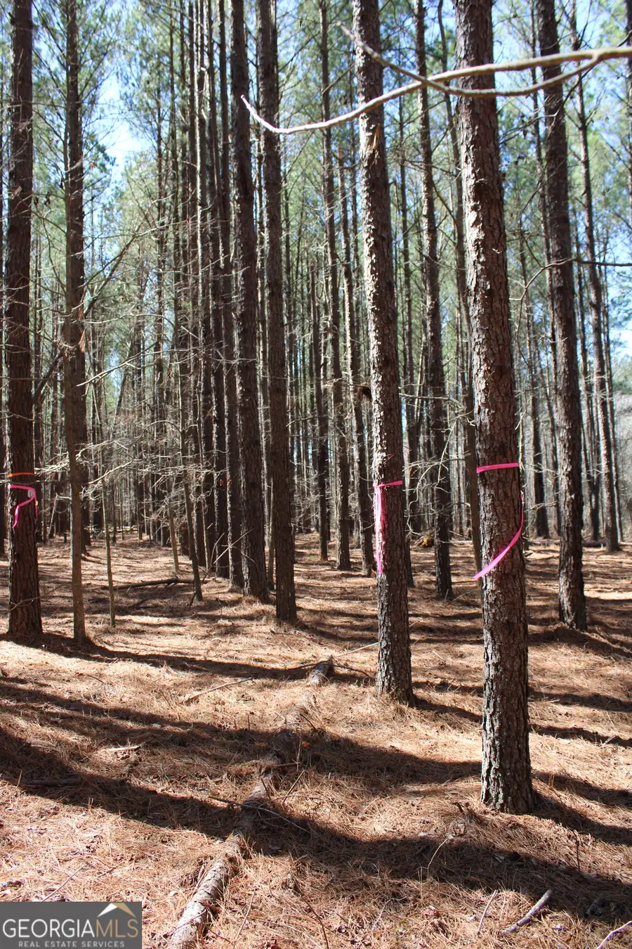 0 Jackson Gin Road, Harrison, GA 31035 - Image #3