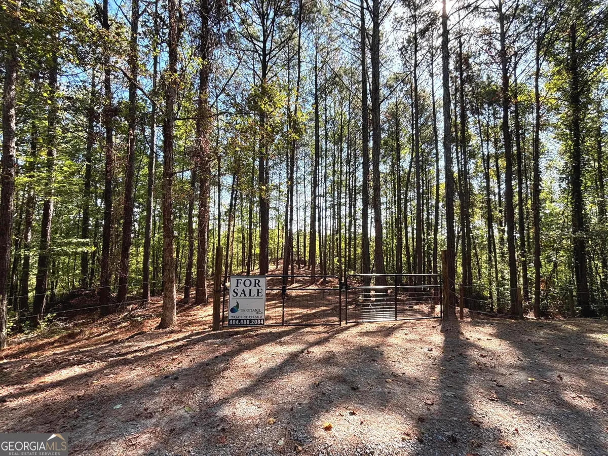 2 EAST Dry Pond Road #LOT 2 EAST, Ranger, GA 30734 - Image #1