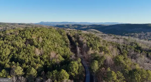 6 WEST Dry Pond Road, Ranger, GA 30734