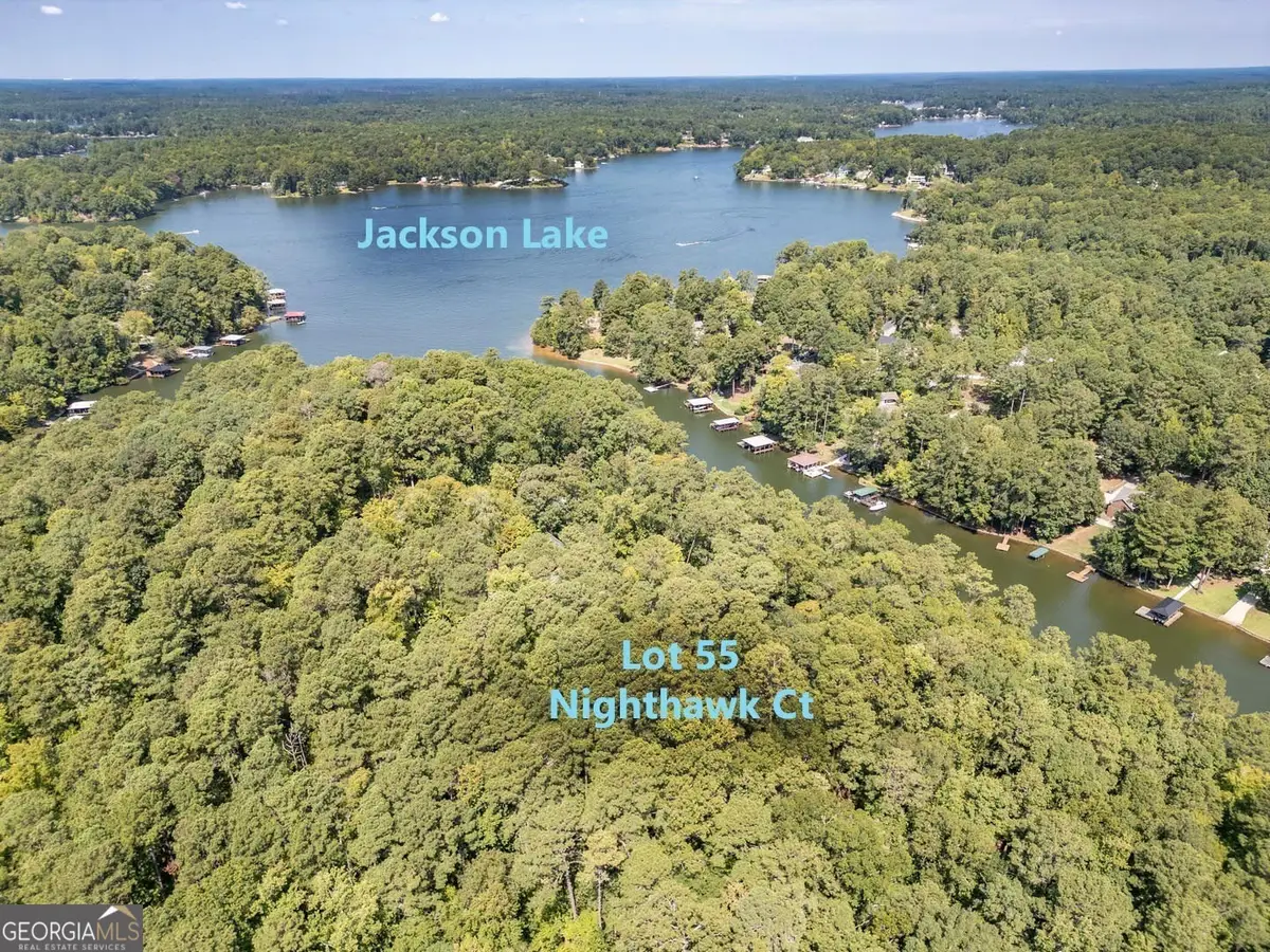 0 Nighthawk Court #LOT 55, Monticello, GA 31064 - Image #1